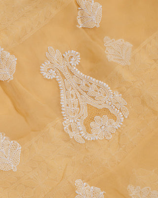Nyra Georgette Double Jaali Suit Set