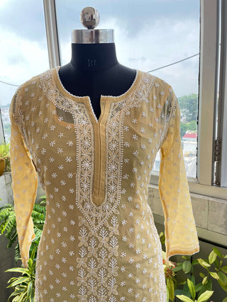 Biba Georgette Straight Kurti