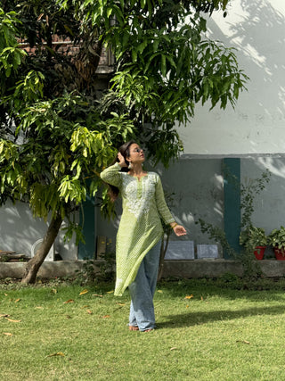 Maha Rajasthani Leheriya with Lucknavi Chikankari