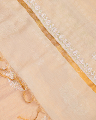 Rubab Tissue Kurta Set with Cut Glass Embroidery