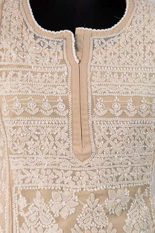 Dani Georgette Kurti With Jaal Work